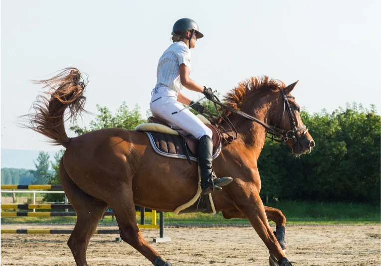 Brentwood Oaks Equestrian Center