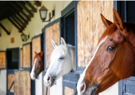 Brentwood Oaks Equestrian Center